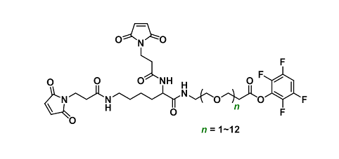 Bis-Mal-Lysine-PEGn-TFP ester